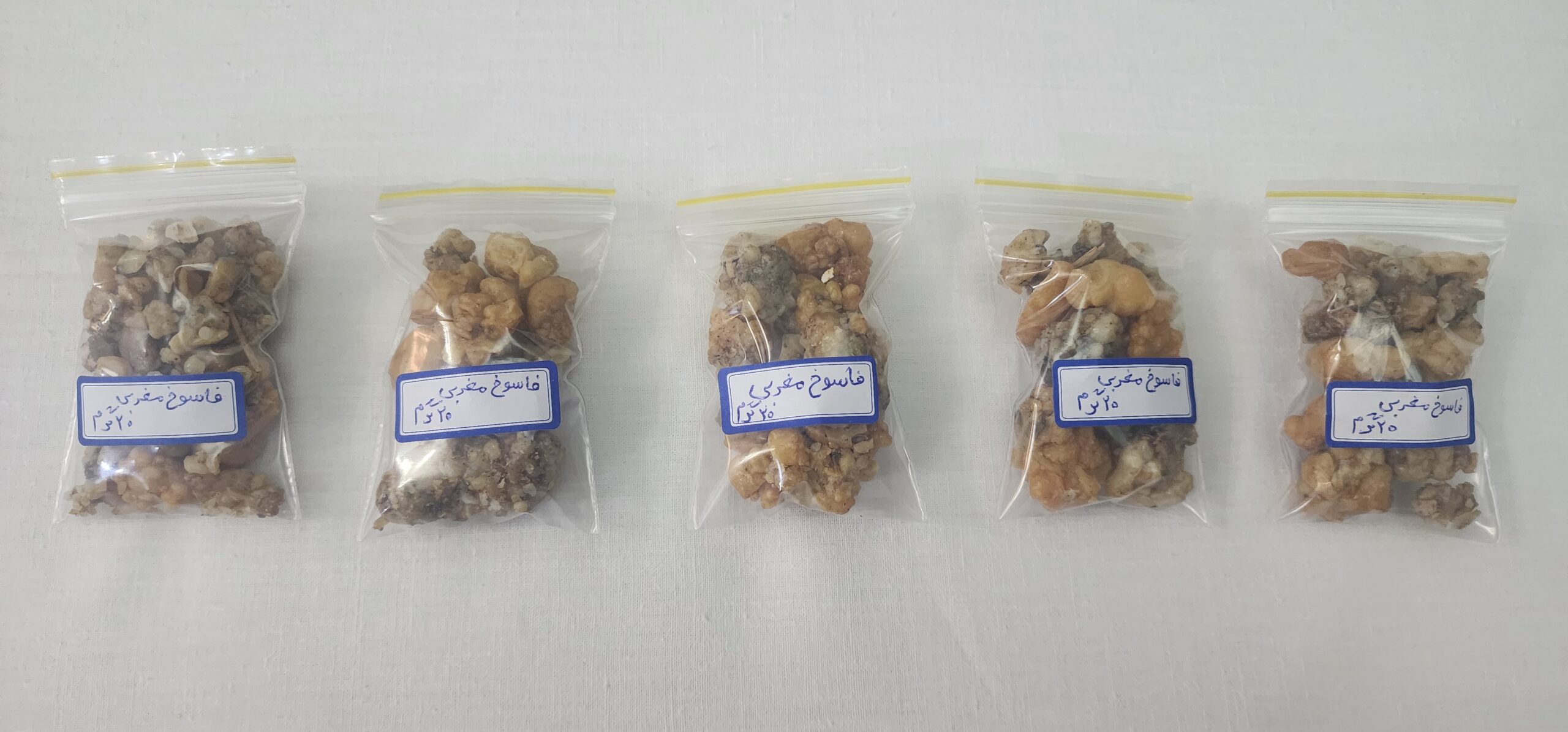 خرید فاسوخ مغربی خرید فاسوخ مغربی