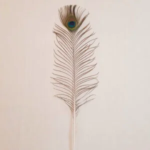 قلم روحانی پر طاووس اصل