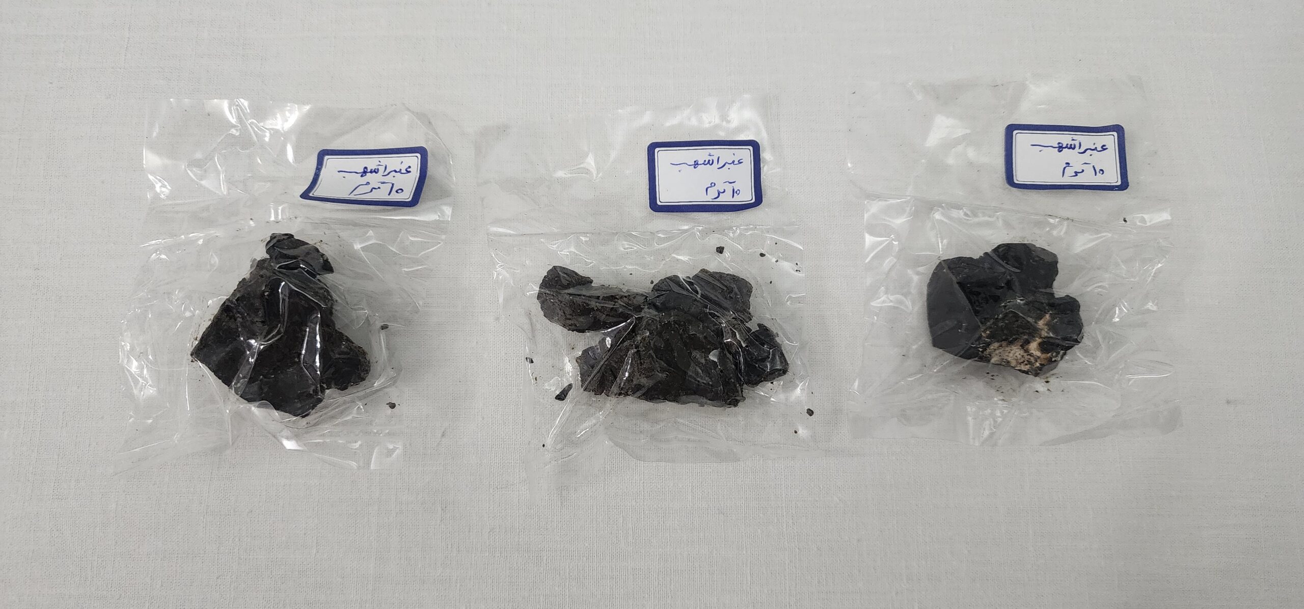 عنبر اشهب اصل نهنگ عنبر عنبر اشهب اصل نهنگ عنبر